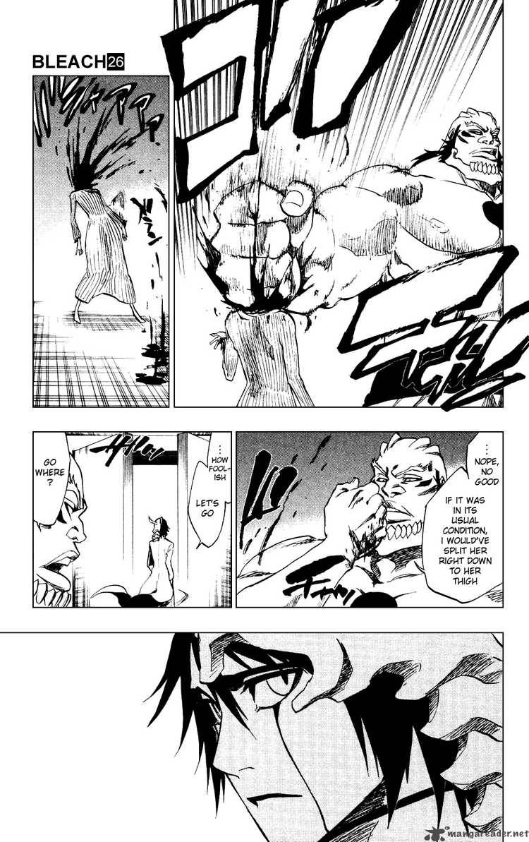Bleach 229 5
