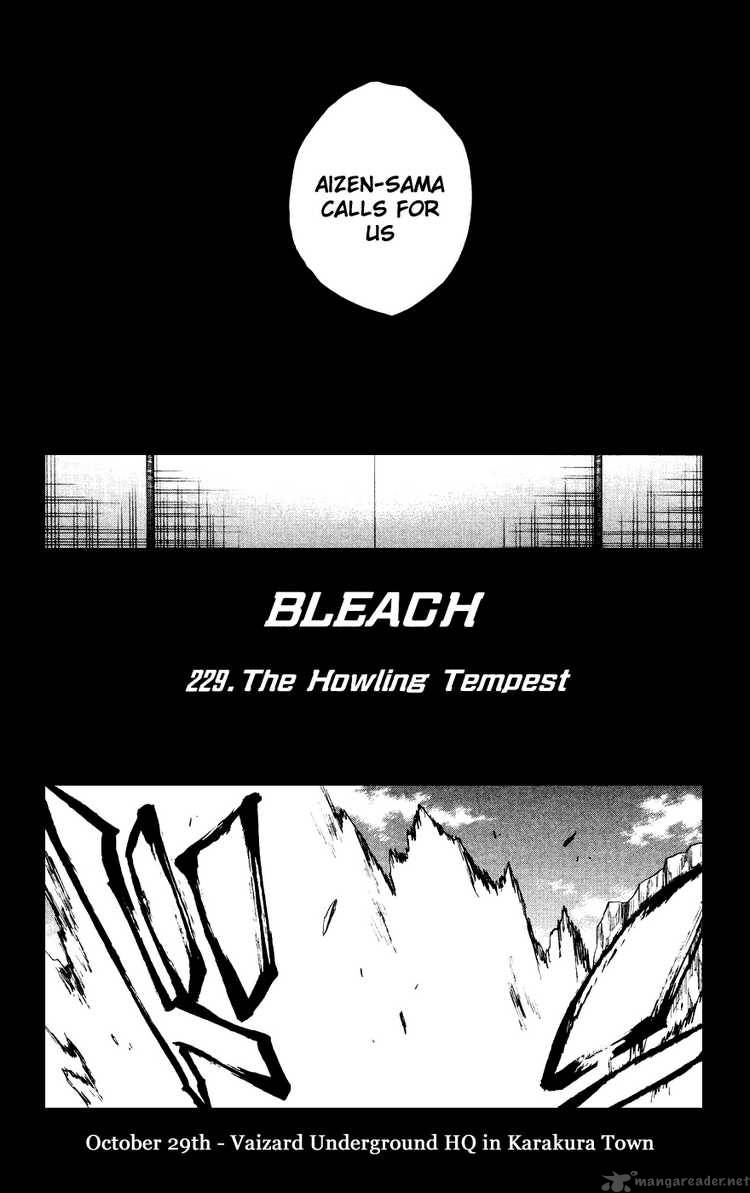 Bleach 229 6