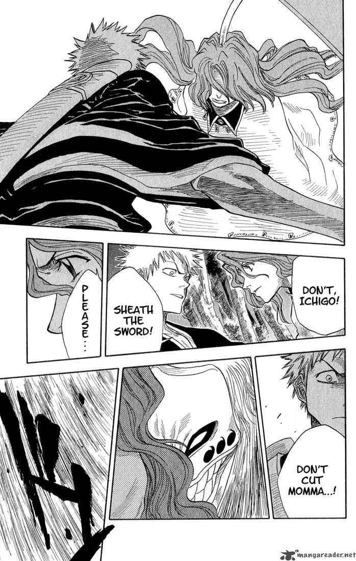 Bleach 23 15