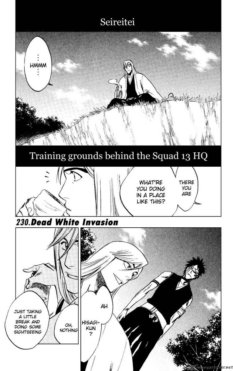 Bleach 230 1