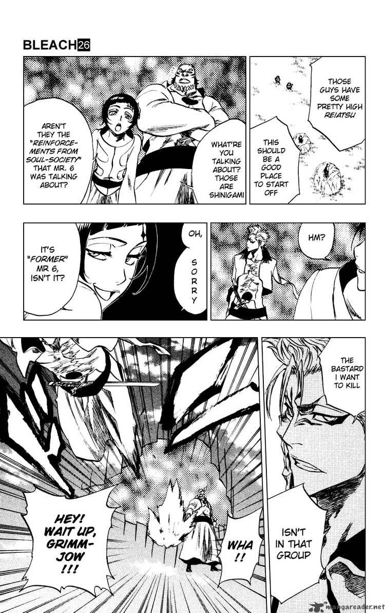 Bleach 230 10