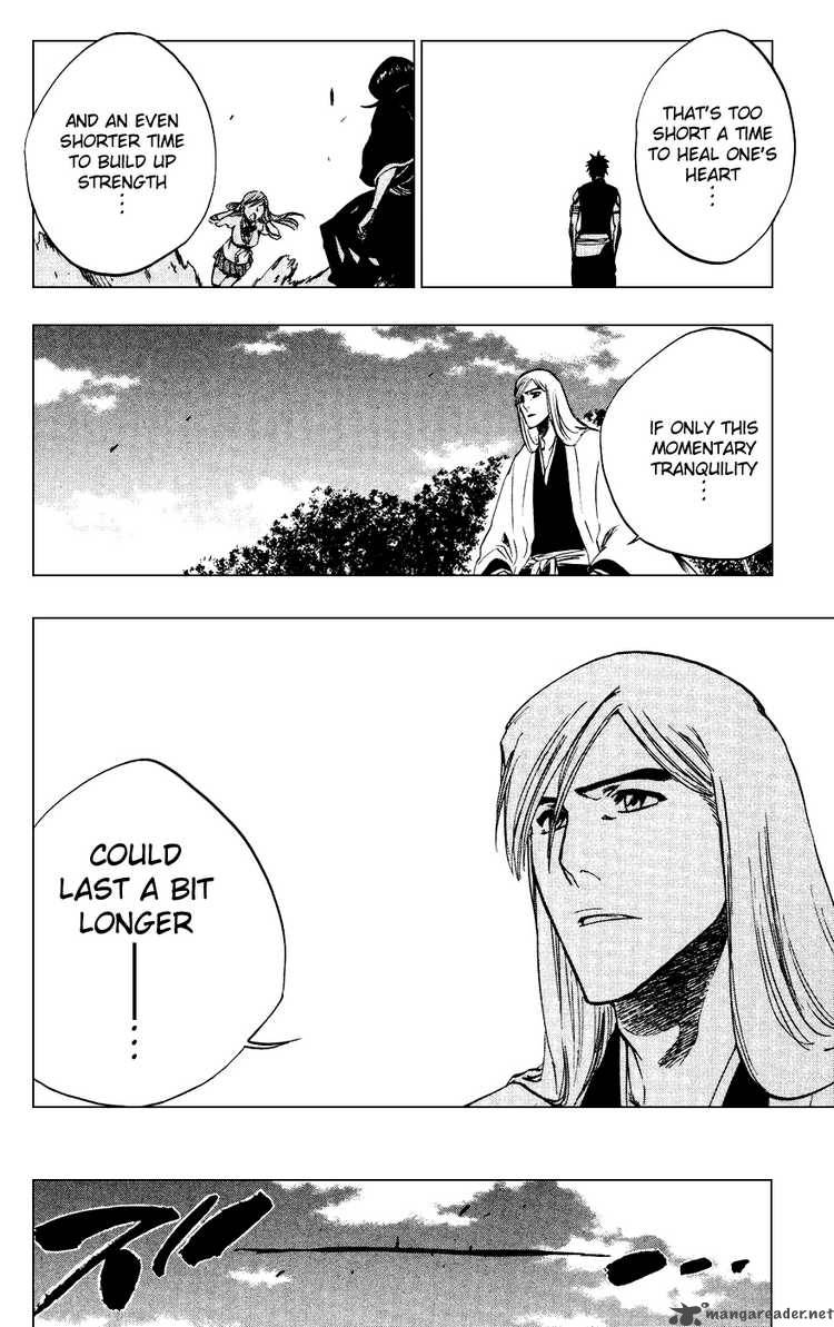 Bleach 230 6