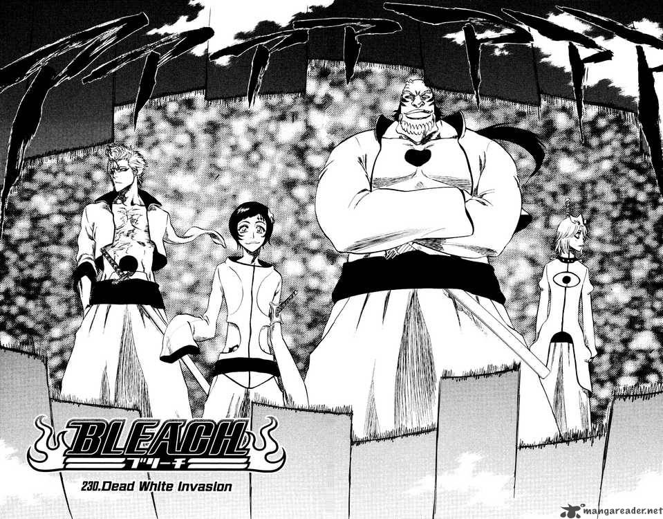 Bleach 230 8