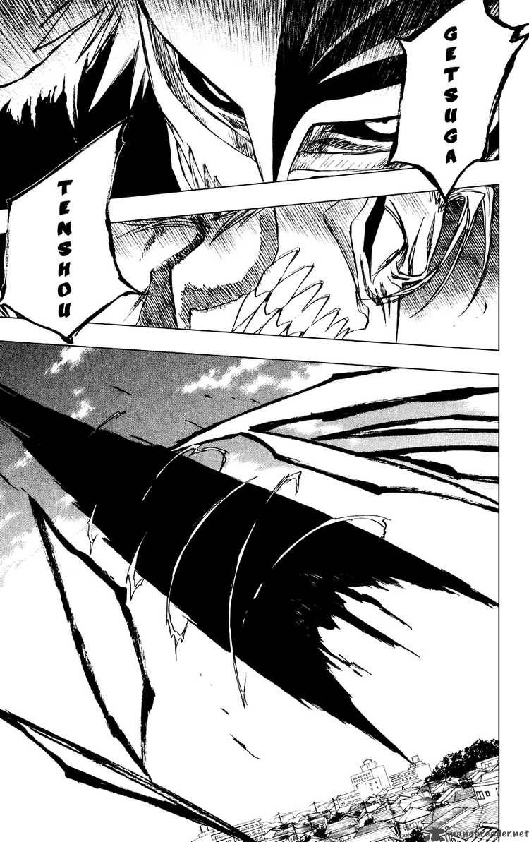 Bleach 231 15