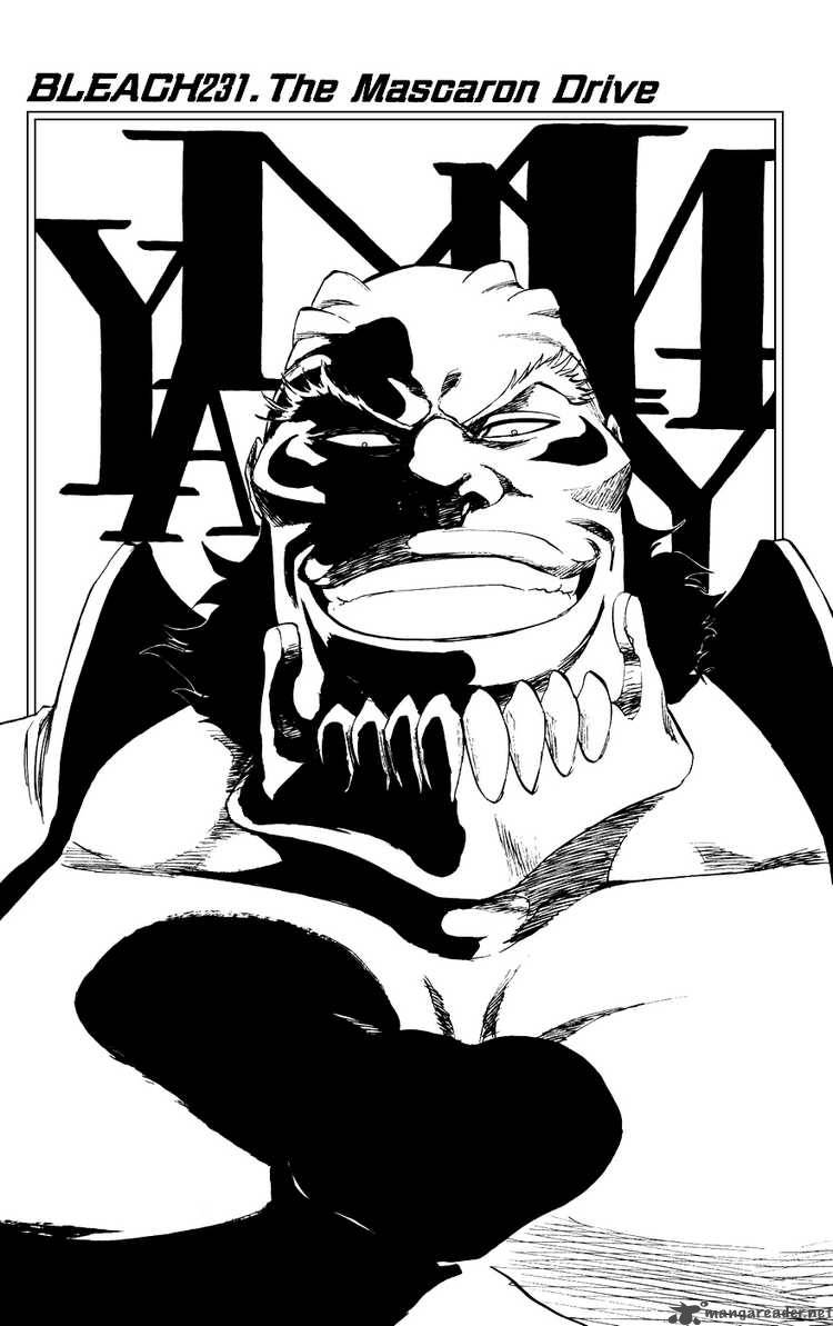 Bleach 231 2