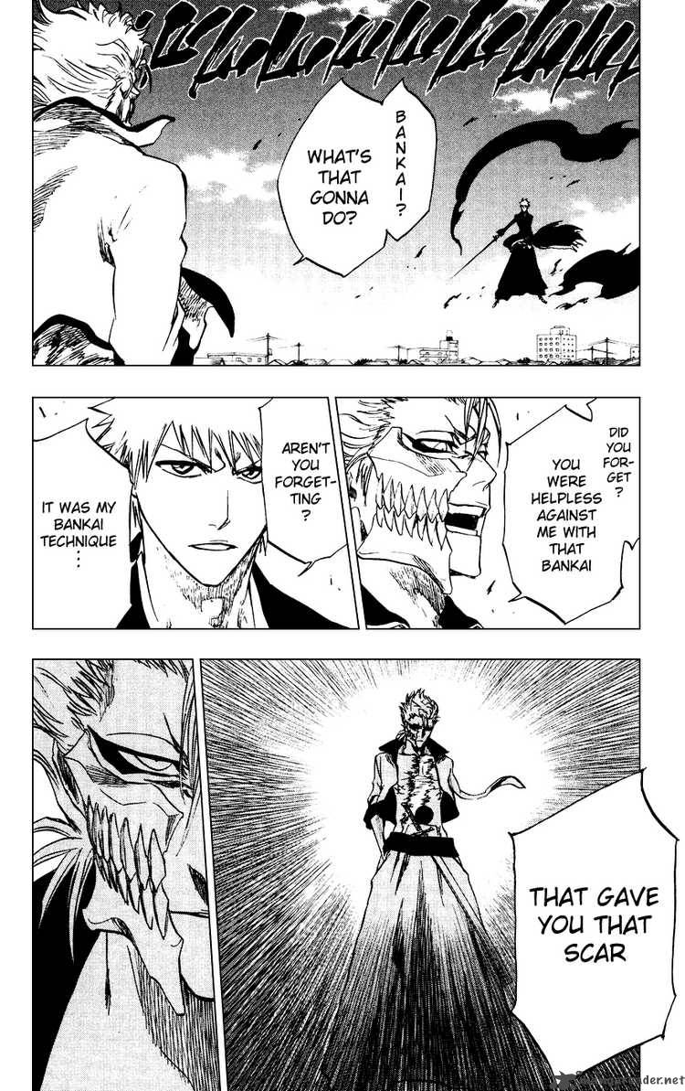 Bleach 231 8