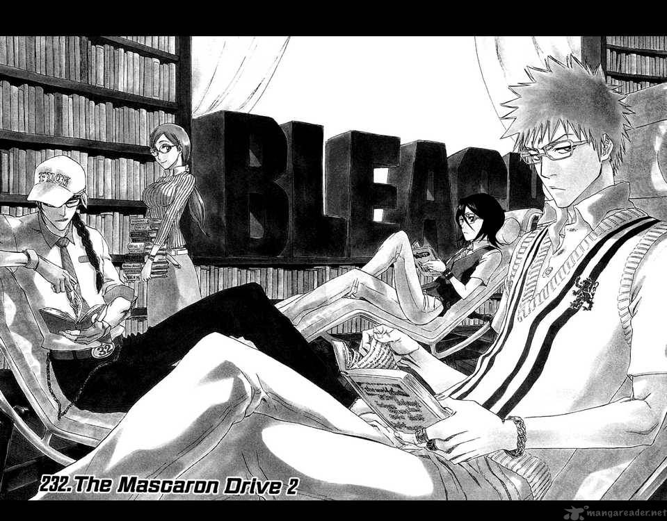 Bleach 232 1