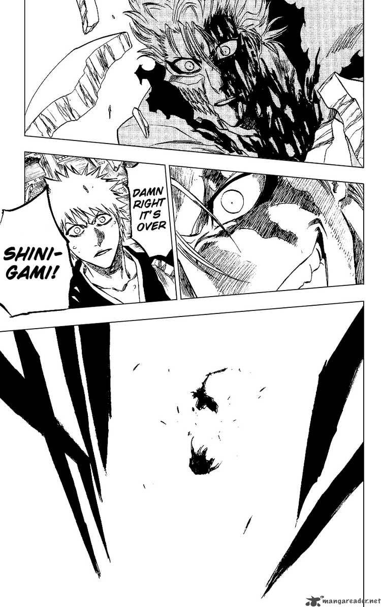 Bleach 232 19