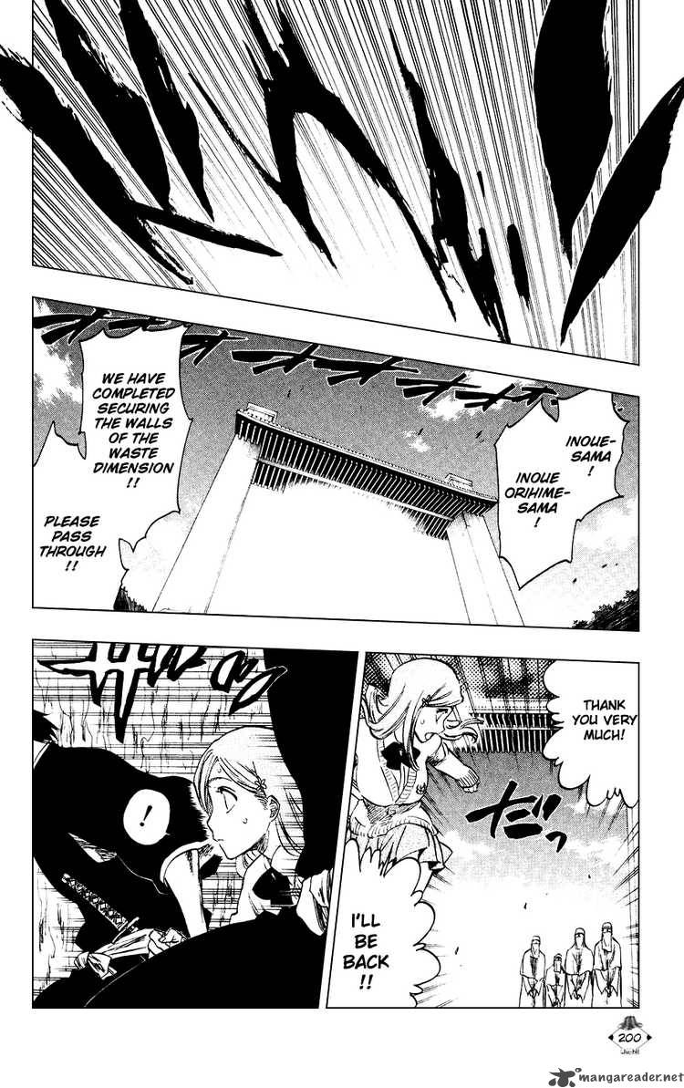 Bleach 233 16
