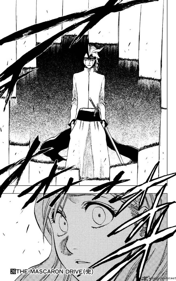 Bleach 233 19