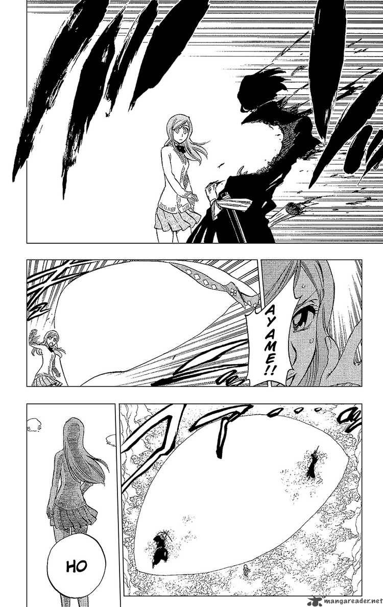 Bleach 234 11