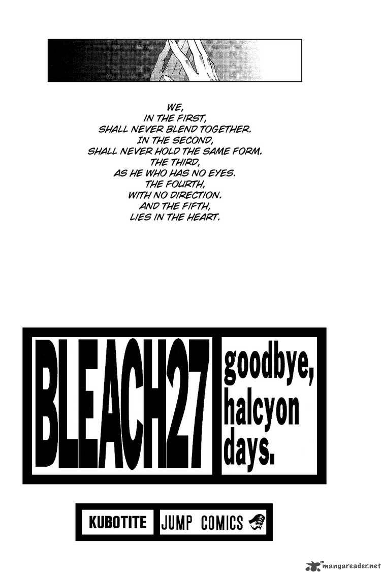Bleach 234 3