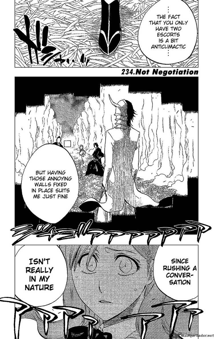 Bleach 234 6
