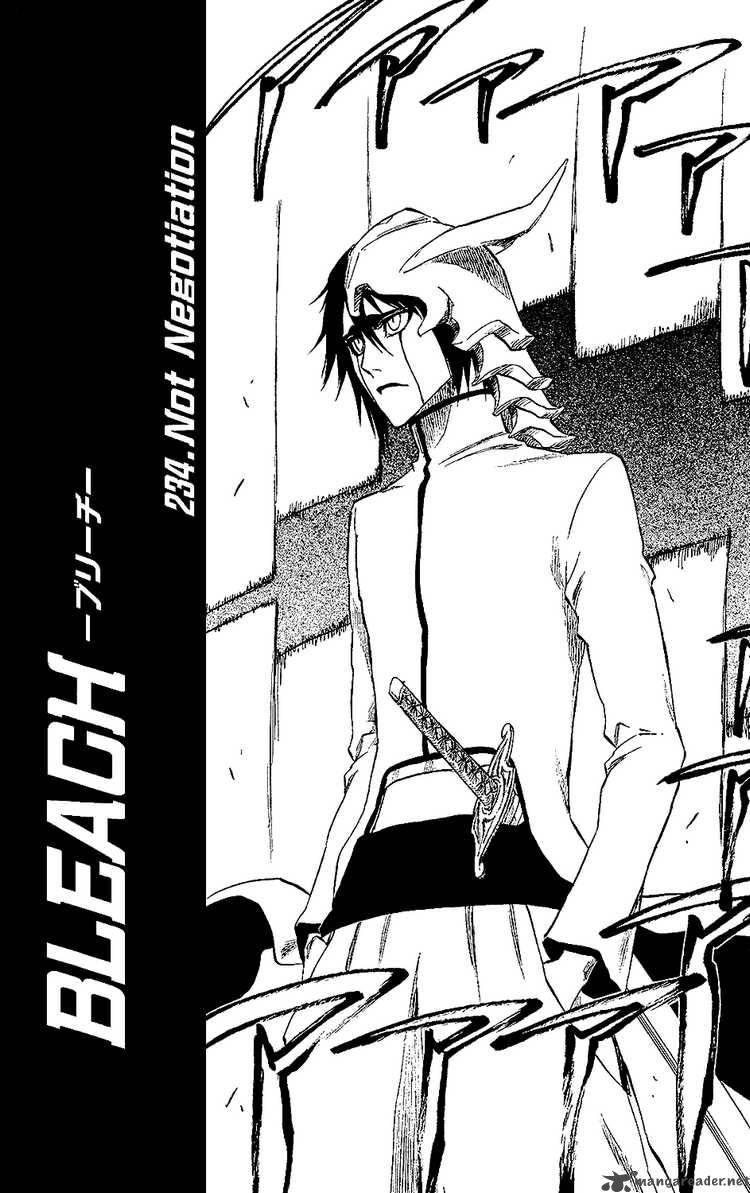 Bleach 234 7