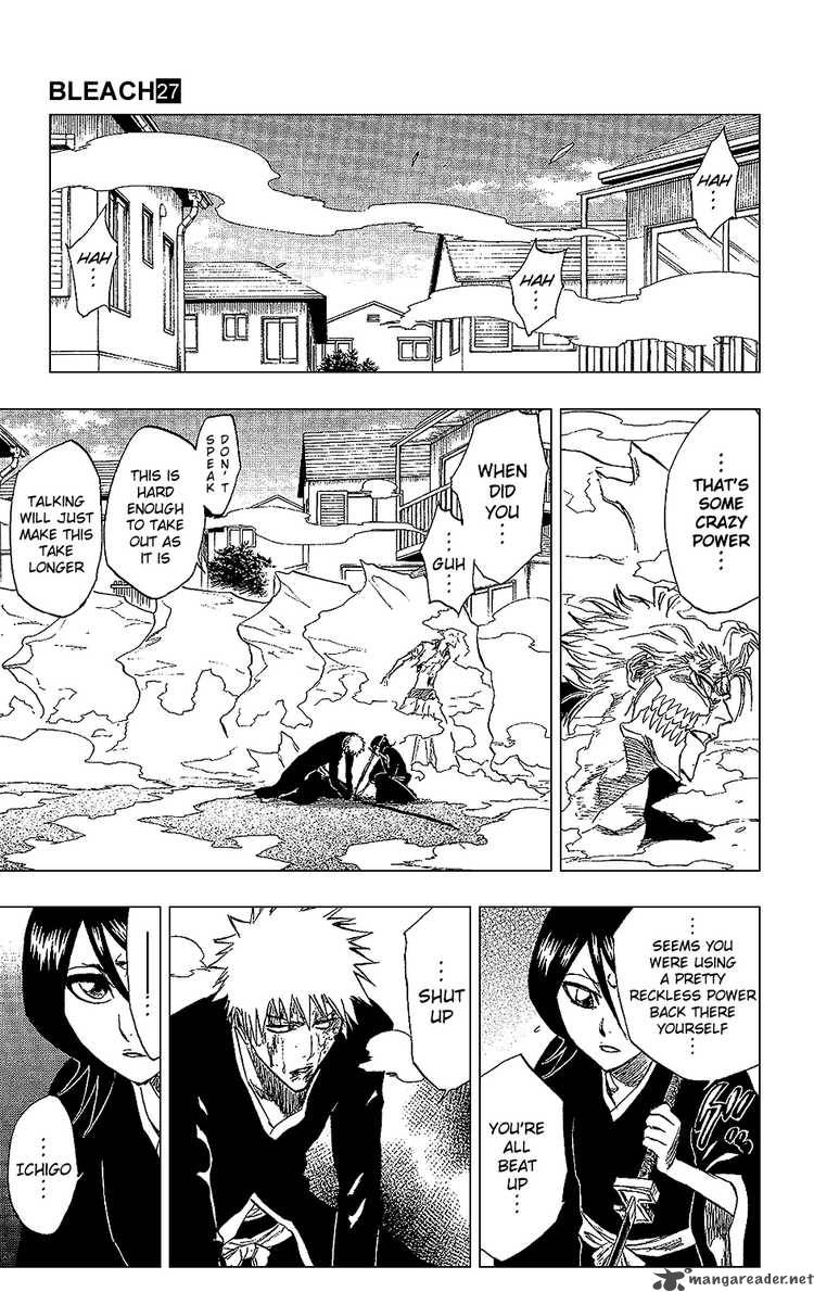 Bleach 235 17