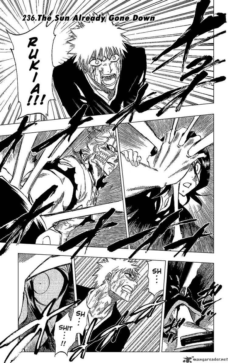 Bleach 236 1