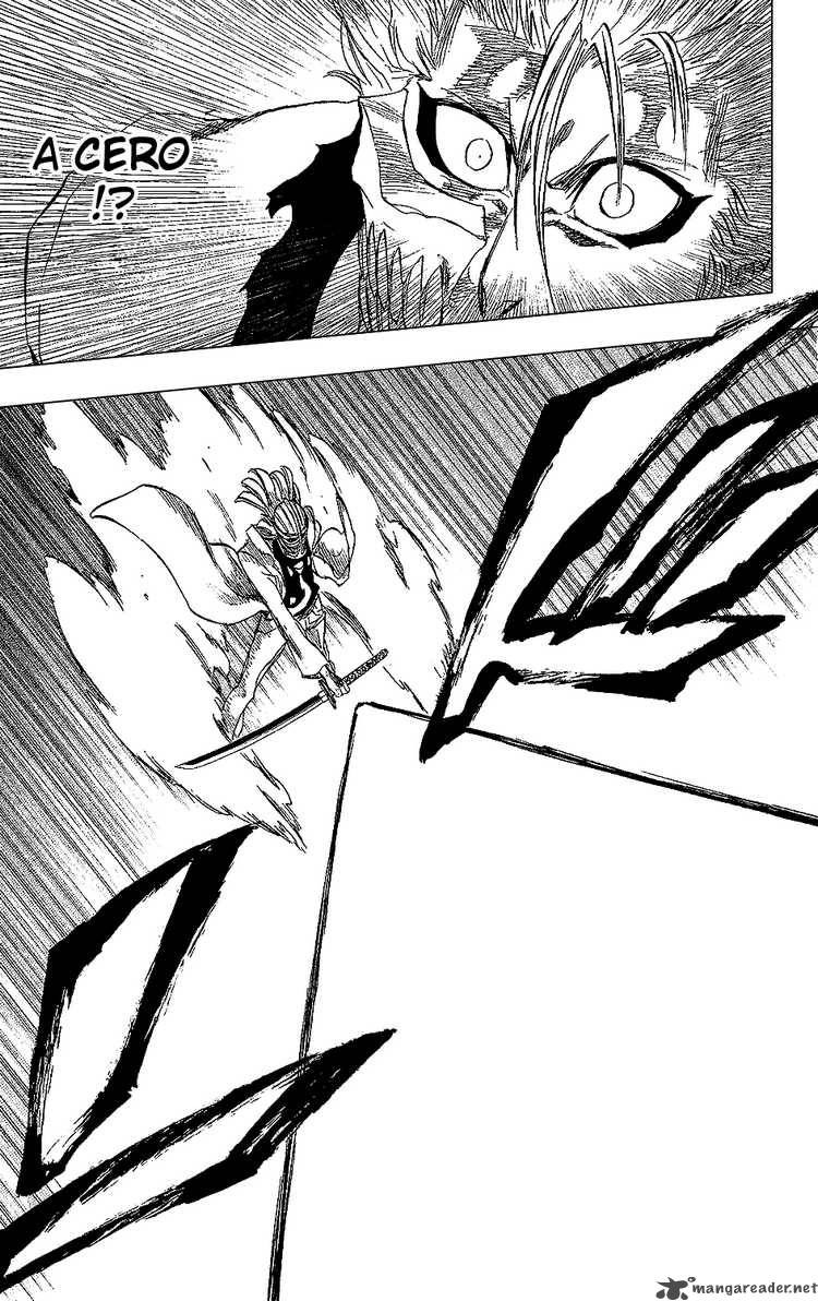 Bleach 236 11