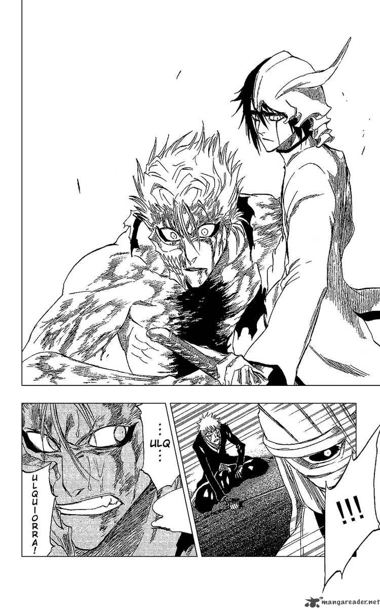 Bleach 236 14