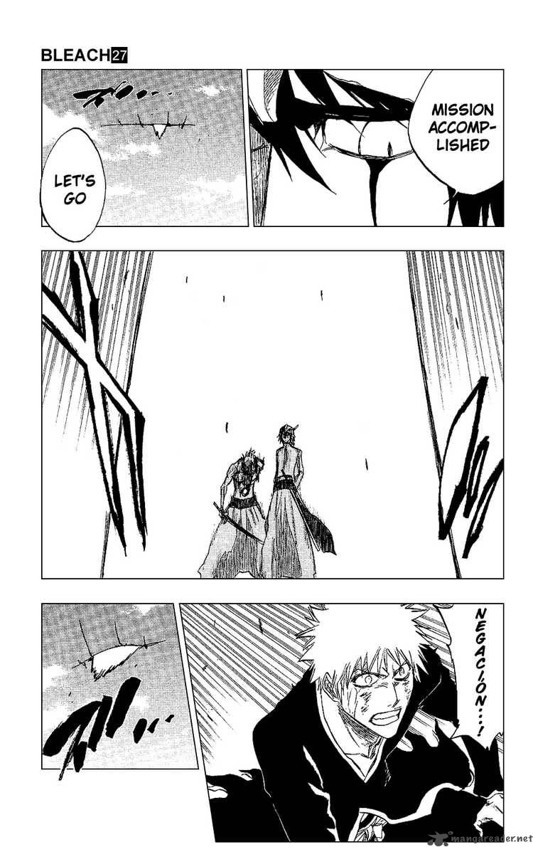Bleach 236 15