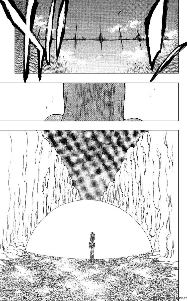 Bleach 236 19