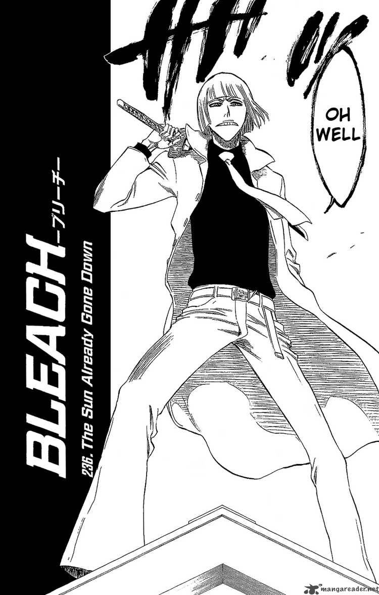 Bleach 236 4