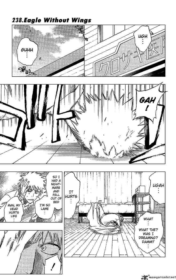 Bleach 238 1