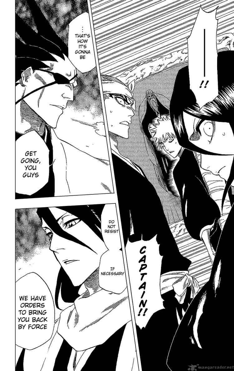 Bleach 238 15