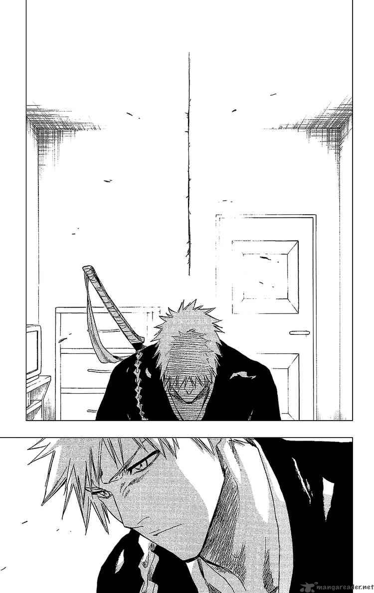 Bleach 238 18