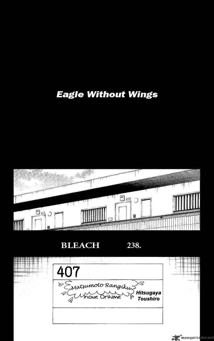 Bleach 238 4