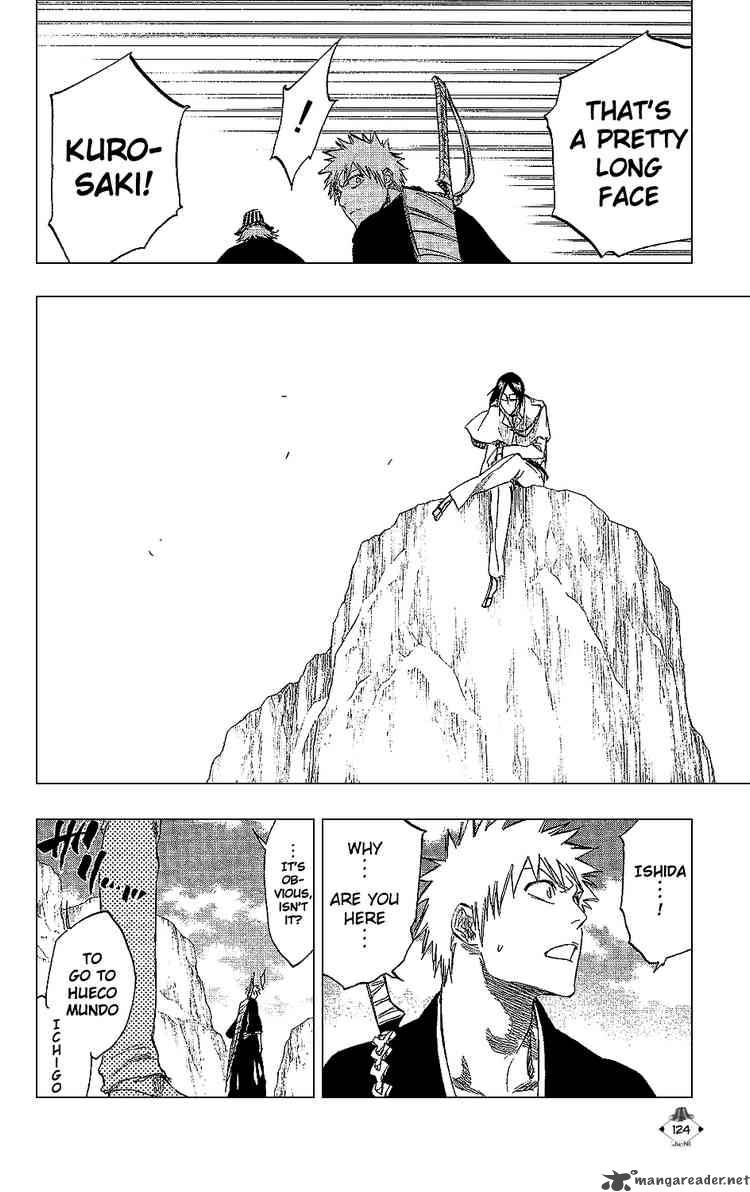 Bleach 239 17