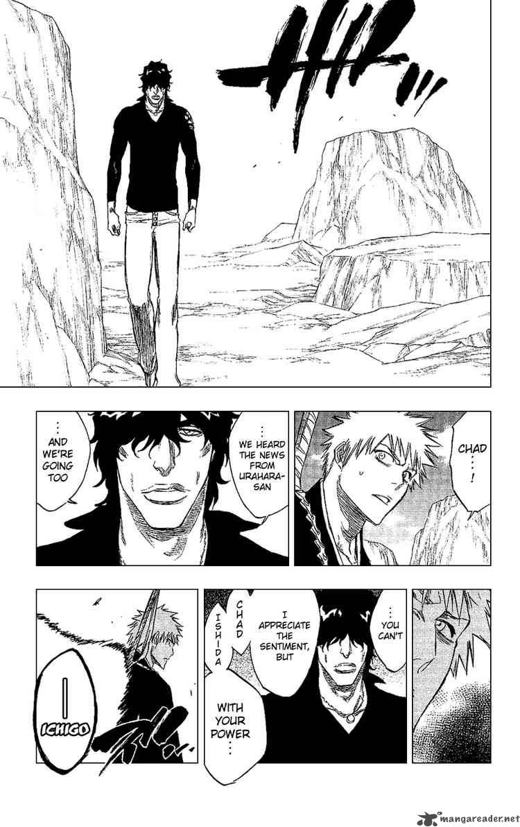 Bleach 239 18