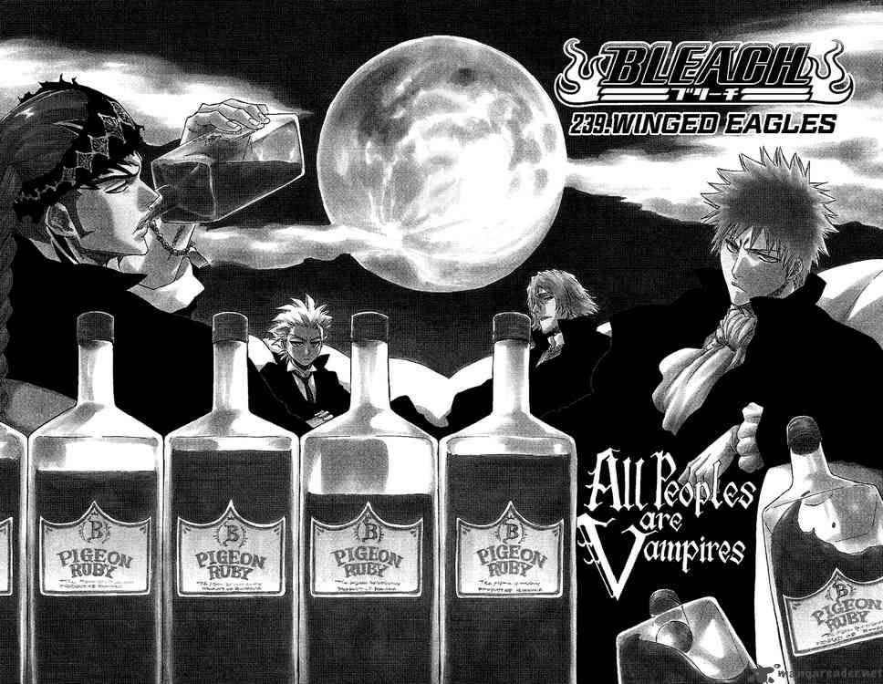 Bleach 239 2