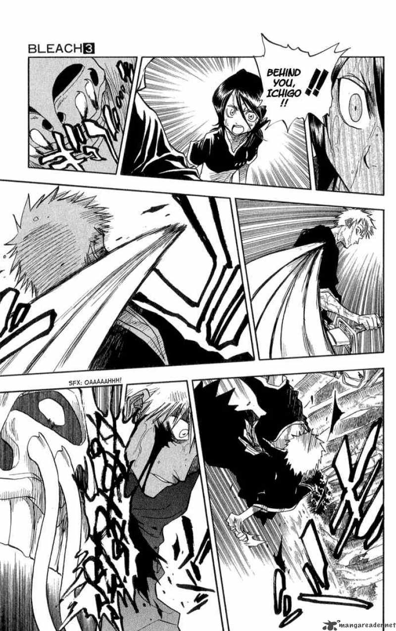 Bleach 24 12