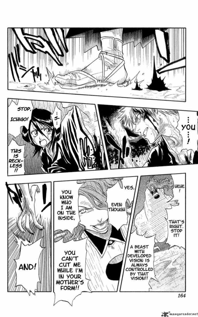 Bleach 24 17