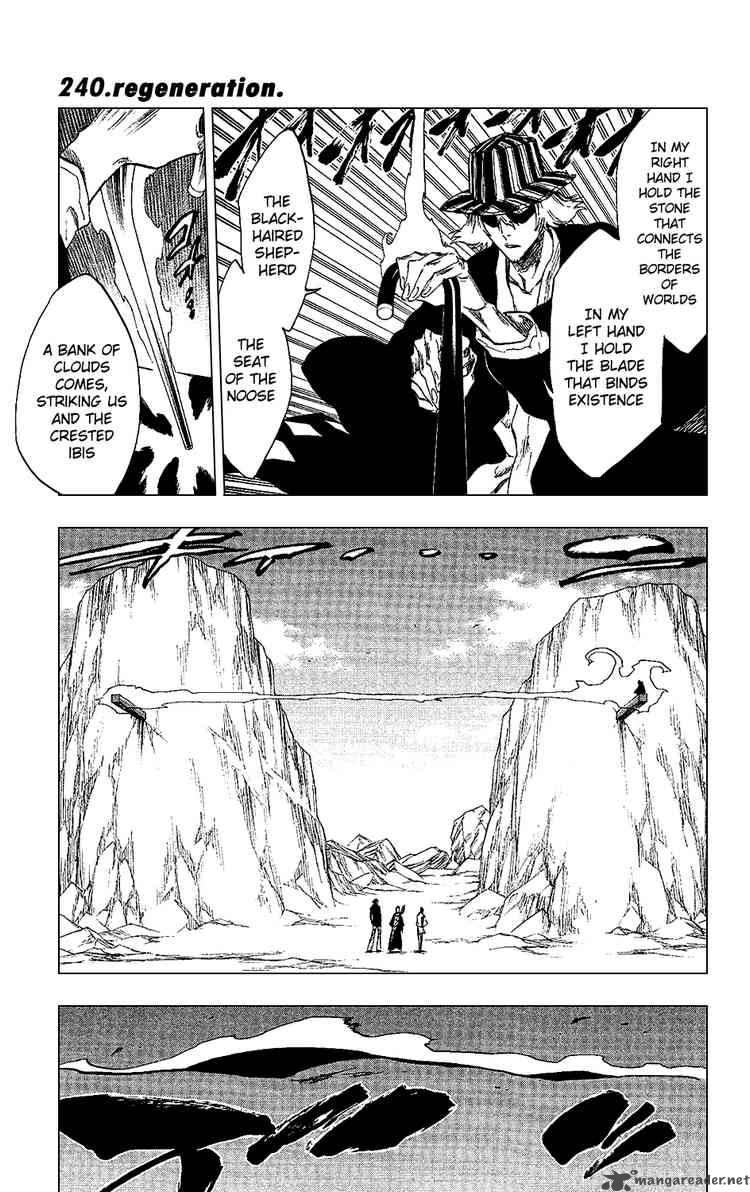 Bleach 240 1
