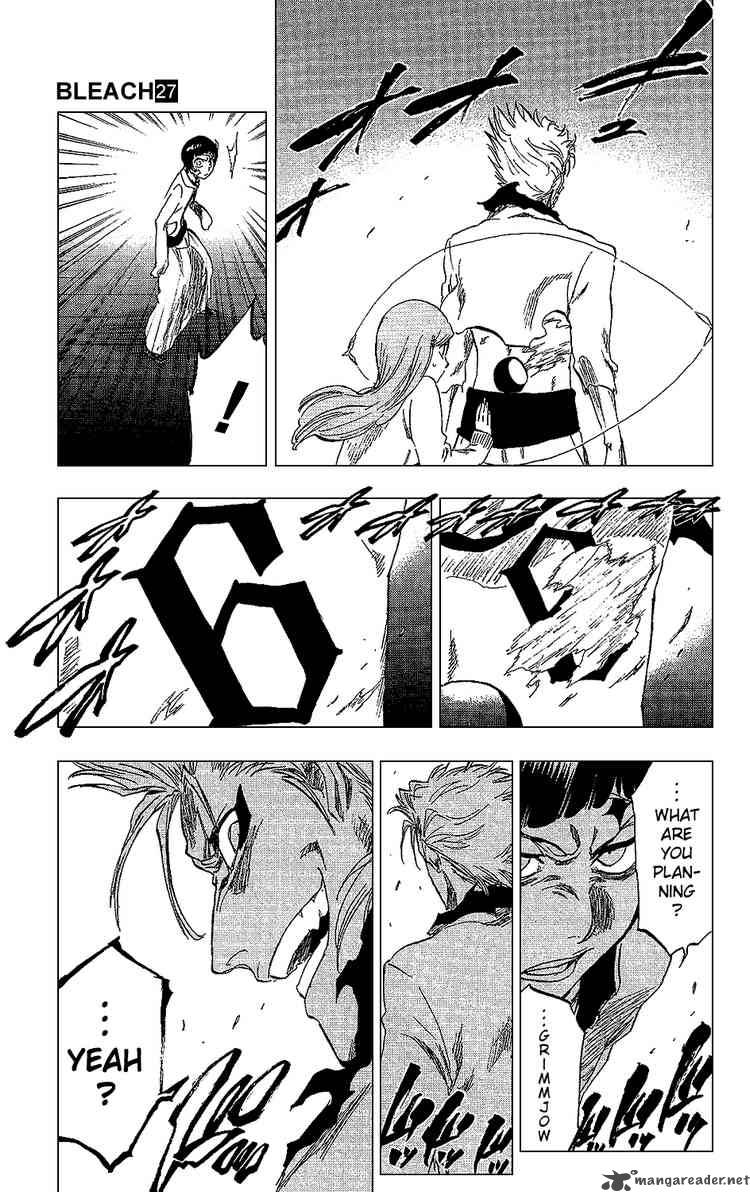 Bleach 240 15