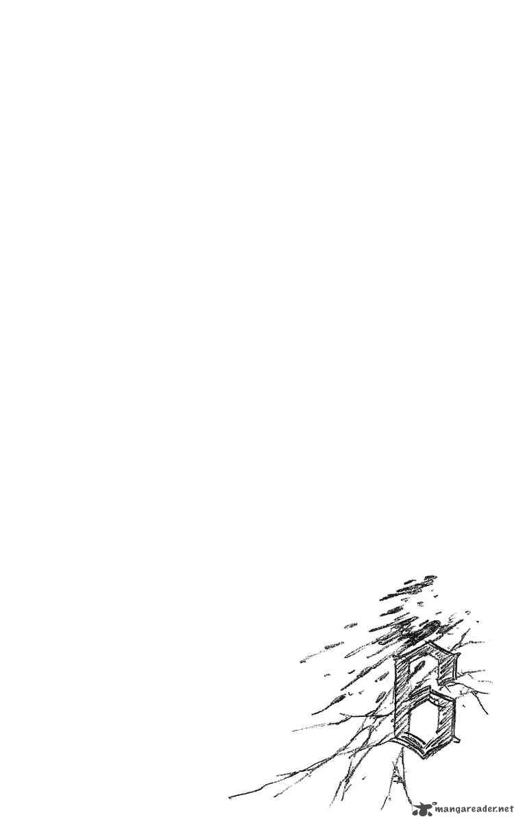 Bleach 240 20