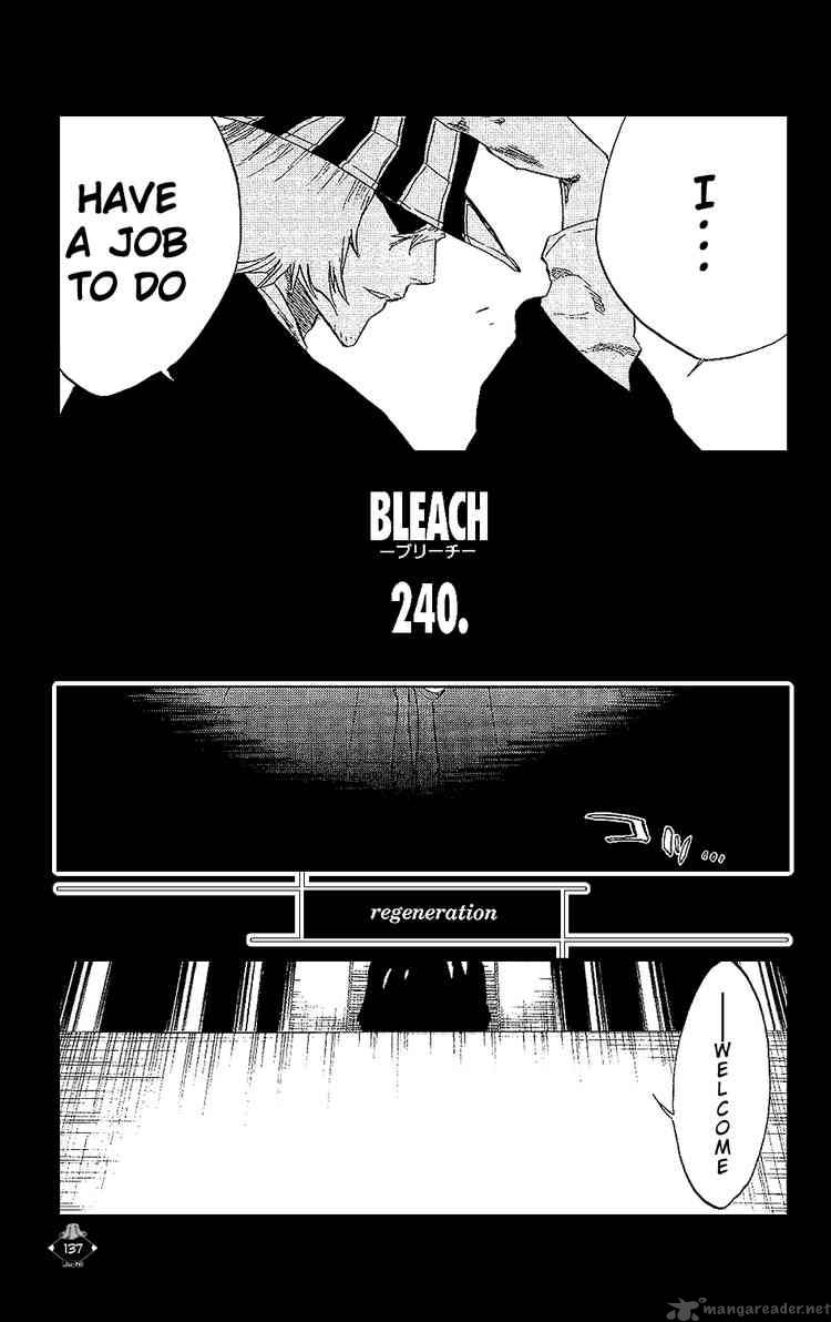 Bleach 240 7