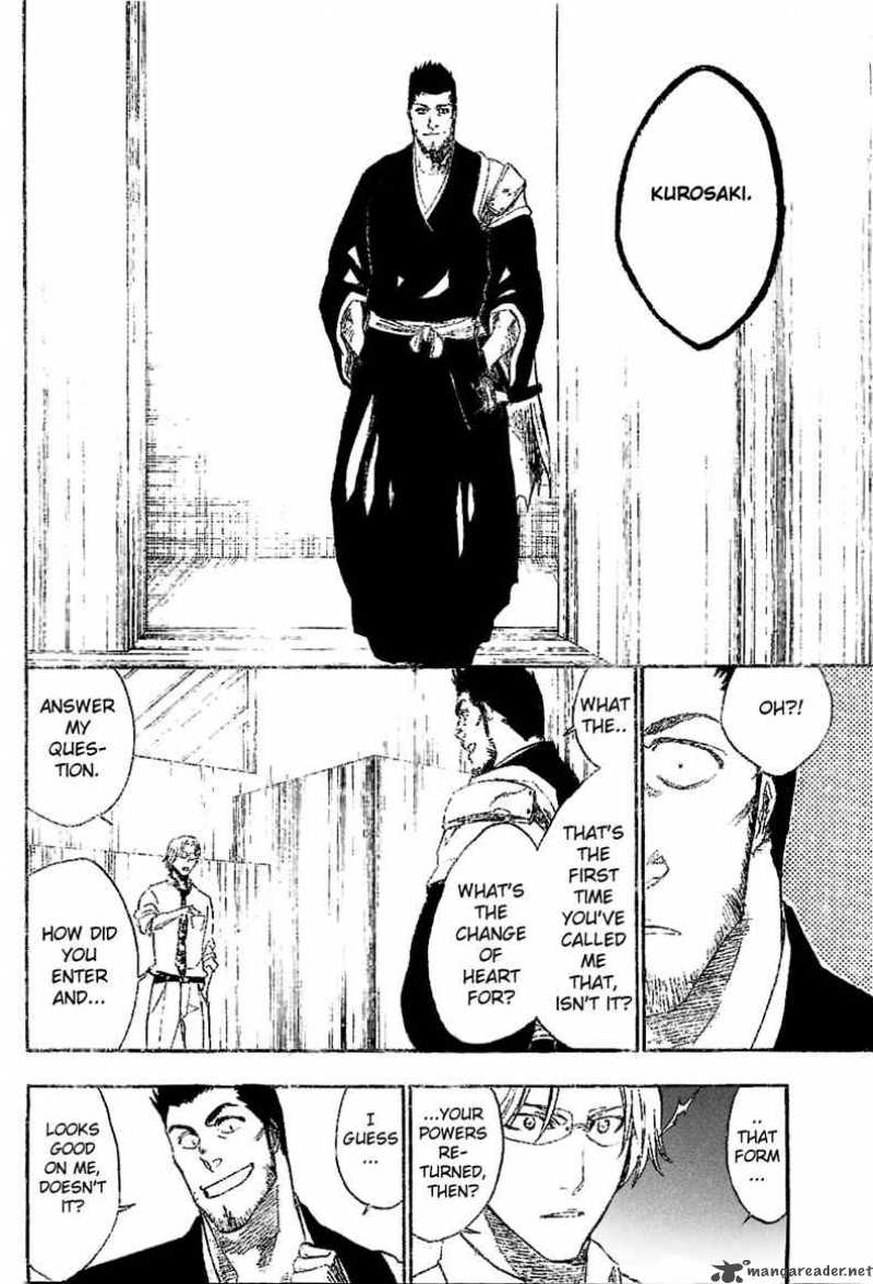 Bleach 241 13