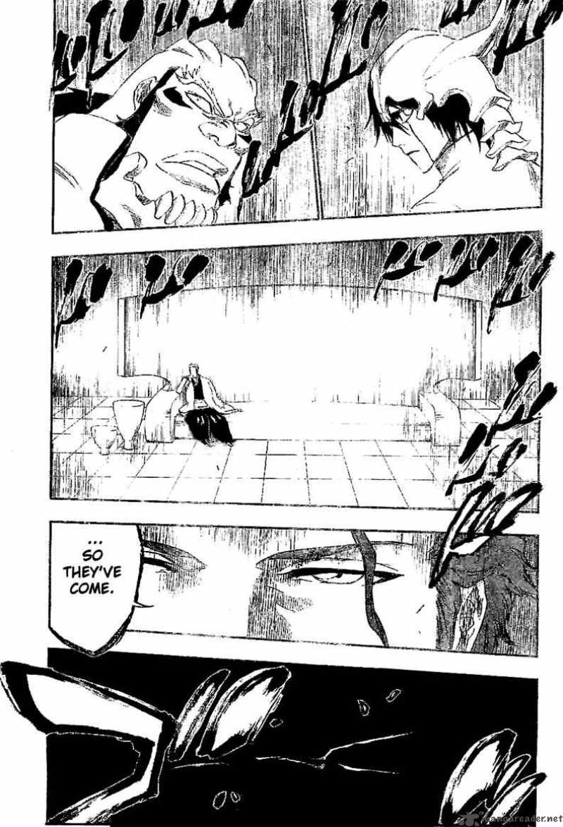 Bleach 241 18