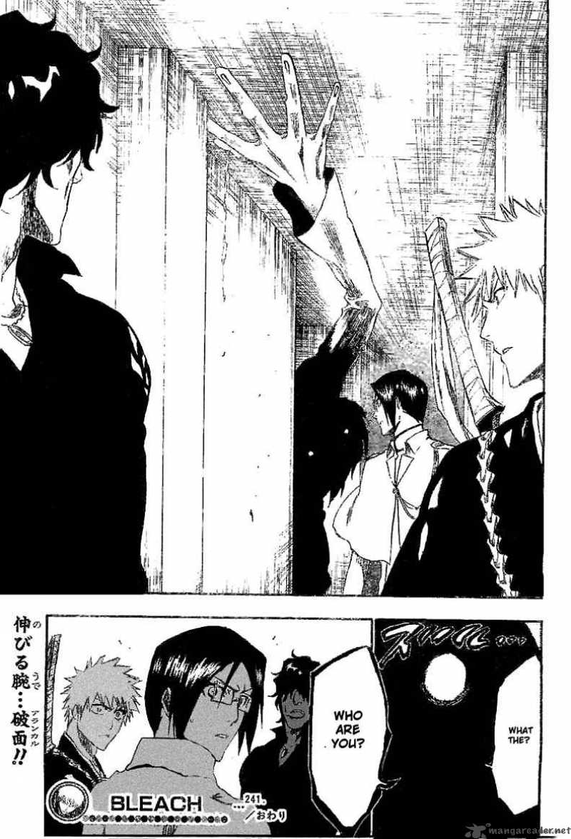 Bleach 241 21