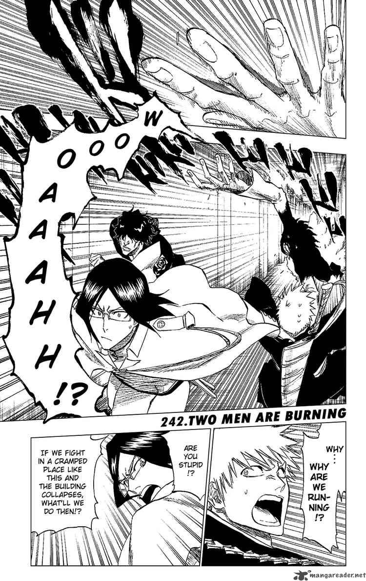 Bleach 242 1
