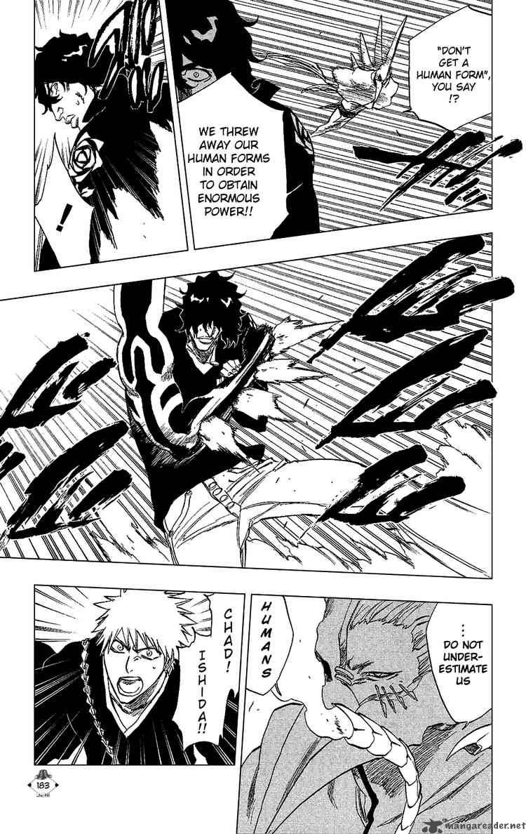 Bleach 242 13