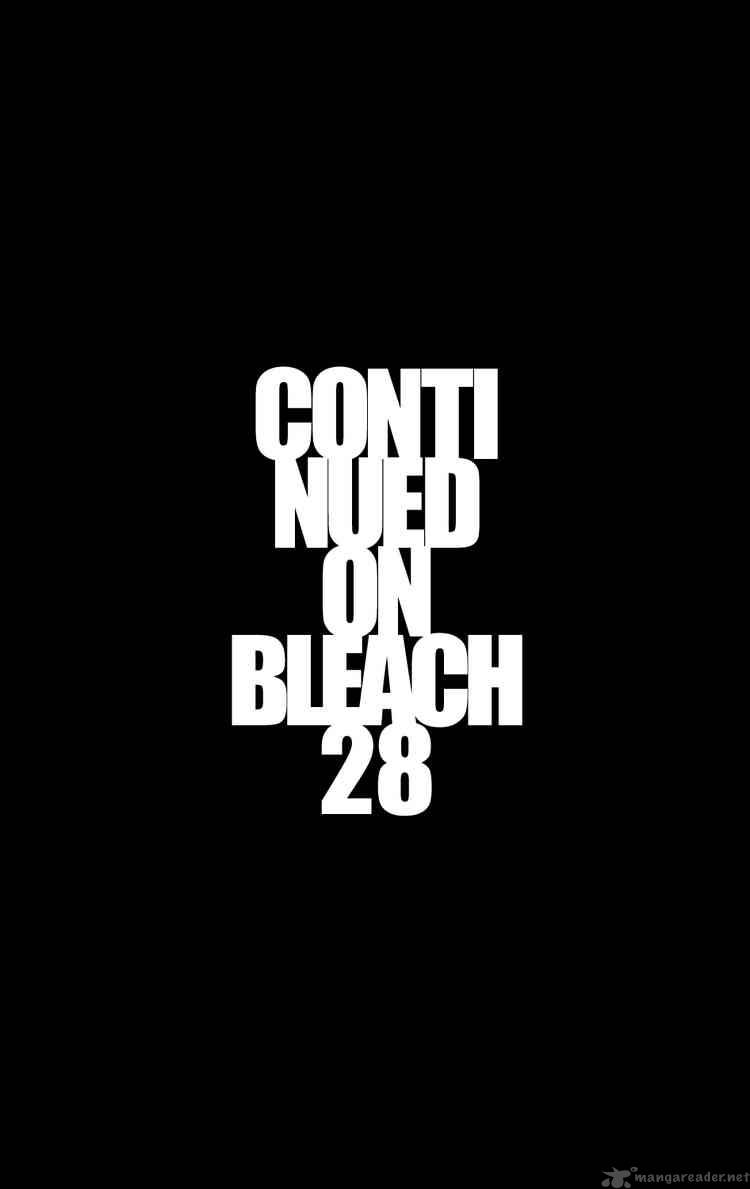 Bleach 242 19