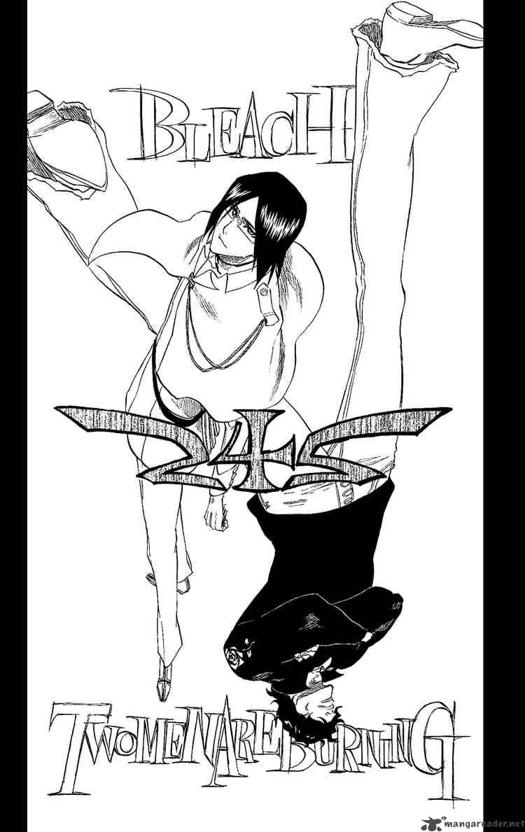 Bleach 242 6
