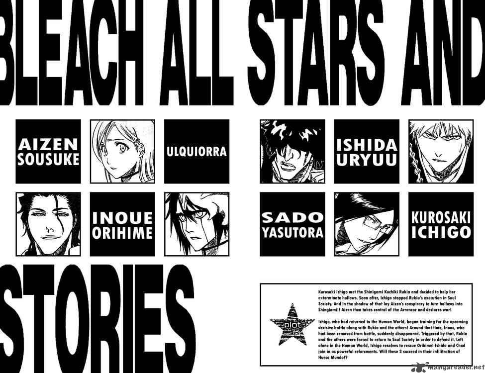 Bleach 243 4