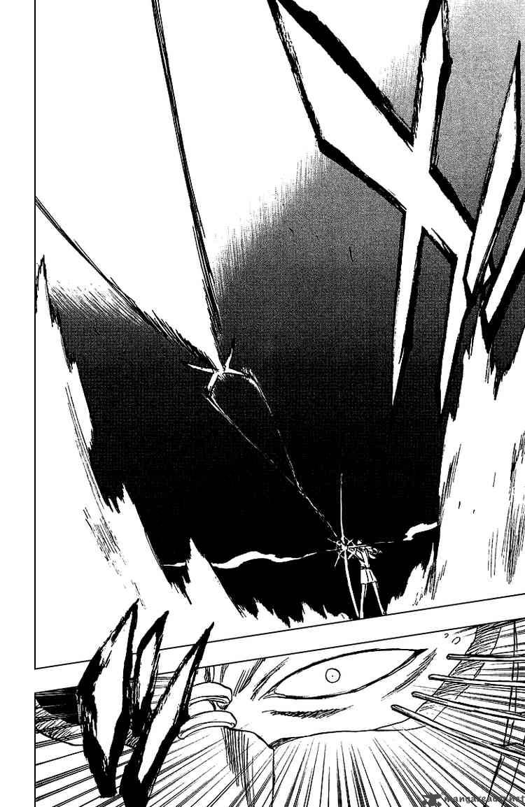 Bleach 243 9