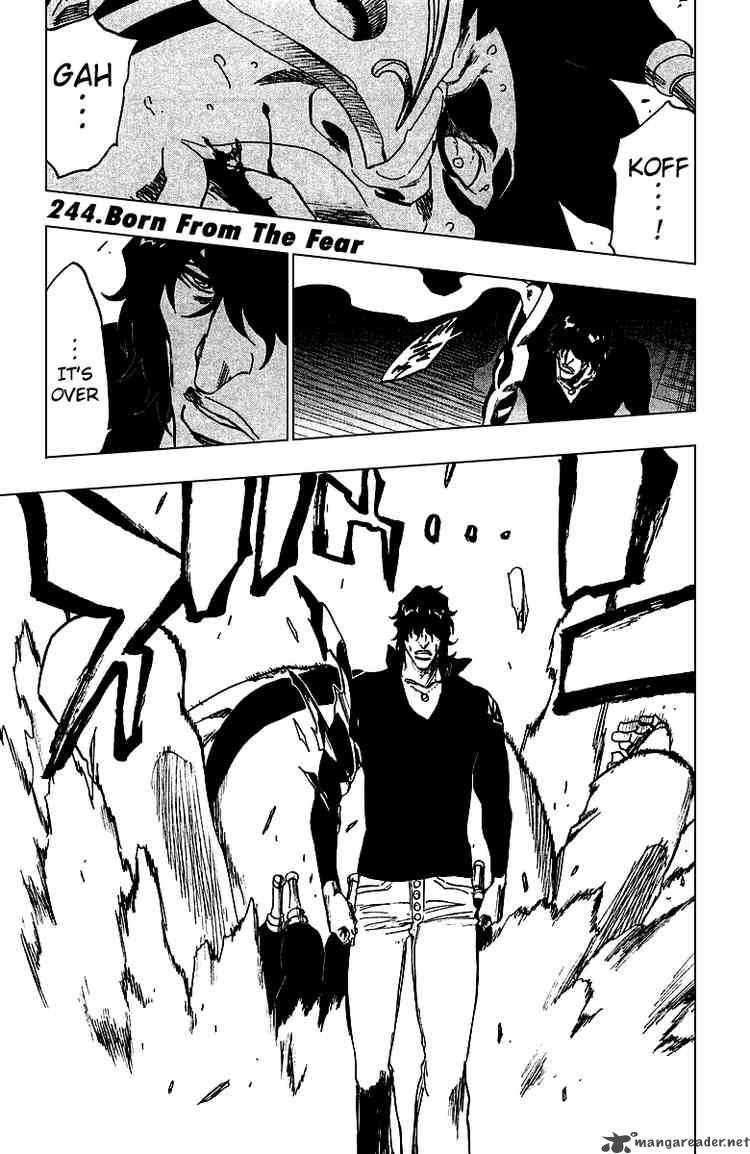 Bleach 244 1