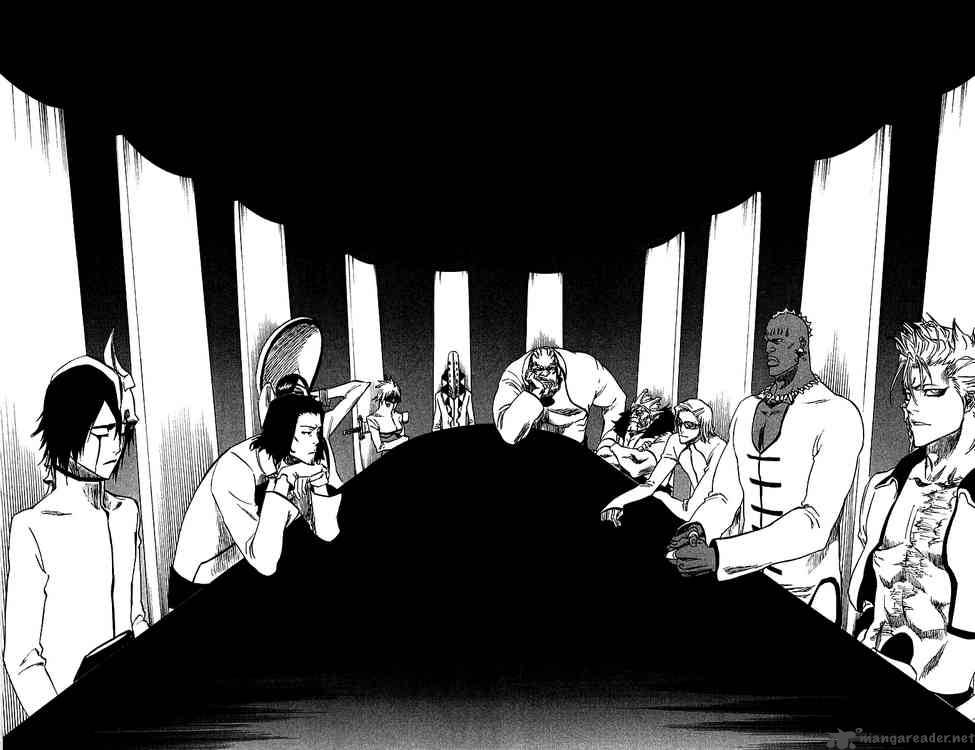 Bleach 244 15