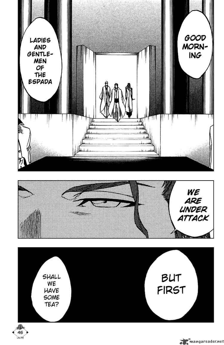 Bleach 244 17